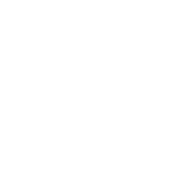 Next.JS